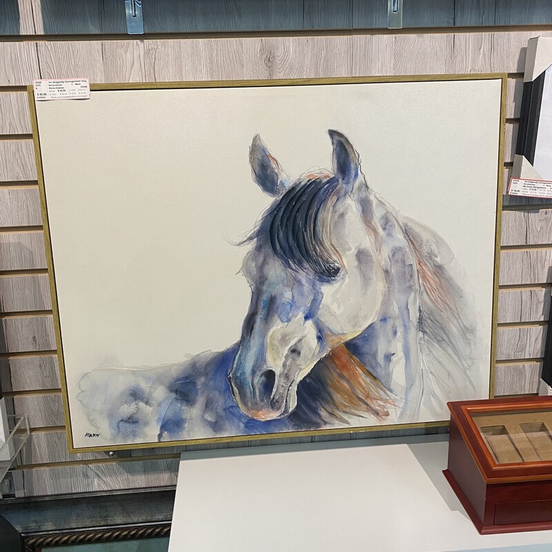 Horse Canvas