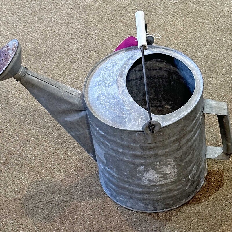 Galvanized Watering Can

1 Gallon, Solid
