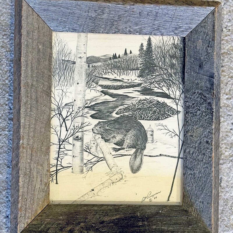 Adirondack Beaver Sketch,
Size: 11 X13
This sketch is a print from Adirondack Woods Original Art by Art Perryman in Wevertown NY    It is nicely framed with barnboard.  A beautiful addition to anyones home!