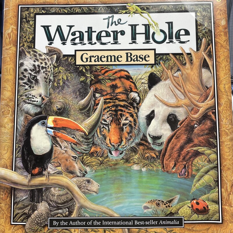 The Water Hole, Multi, Size: Paperback
