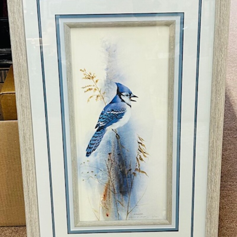 L. Kaatz Blue Jay Painting in Wood Frame
Blue Gray Tan White
Size: 16 x 25.5H