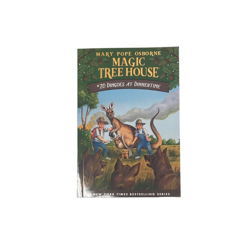 Magic Treehouse #20