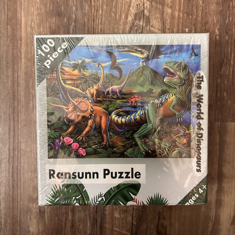 100 Piece Ransunn Puzzle, Multi, Size: Toy/Game