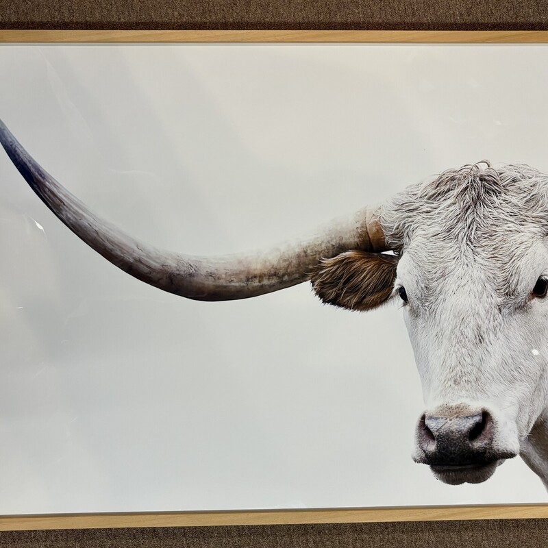 Holden Caulfeild Steer Art in Frame
White Brown Tan Size: 41x31H
Artist: Amy Carroll