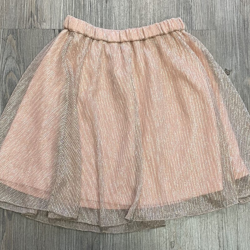 CP Lined  Skirt