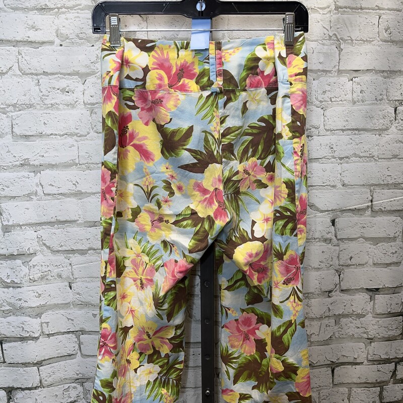 Star City, Floral, Size: 10