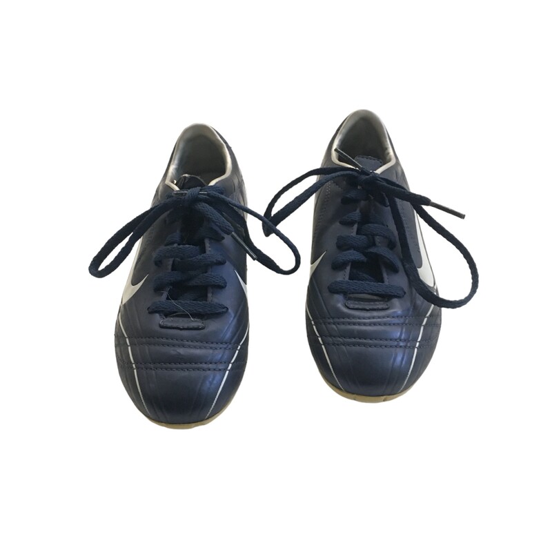 Shoes (Blue/Soccer)
