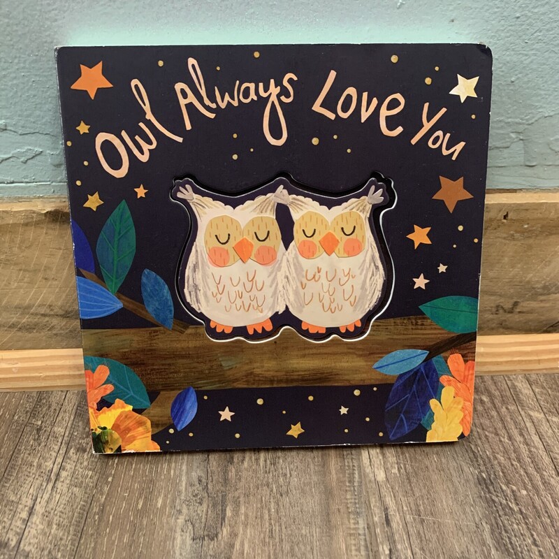 Owl Always Love You, Multi, Size: Book