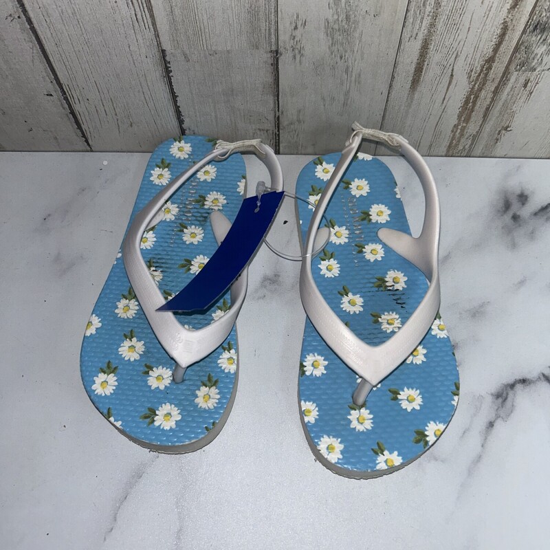 9 Daisy Flip Flops, Blue, Size: Shoes 9