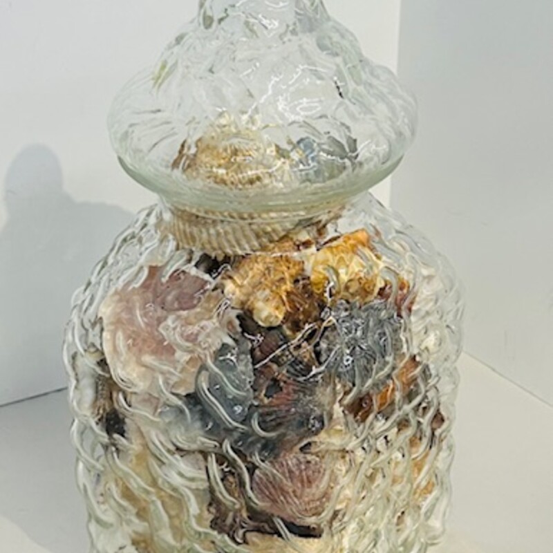 Large Textured Jar with Seashells
Clear Multicolored
Size: 5.5 x 14H