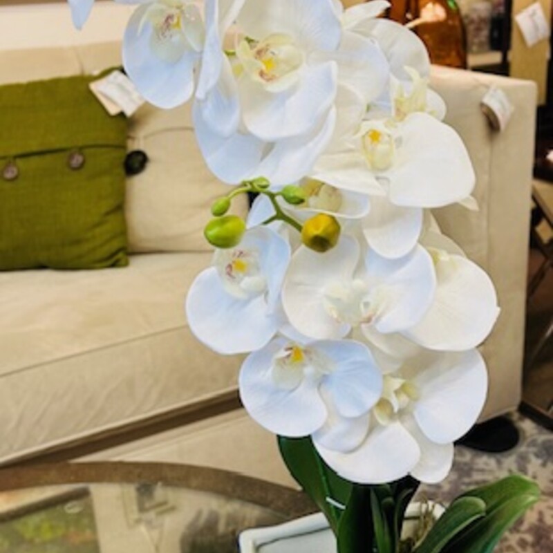 Orchids In Asian Planter
White, Blue and Green
Size: 12x26H