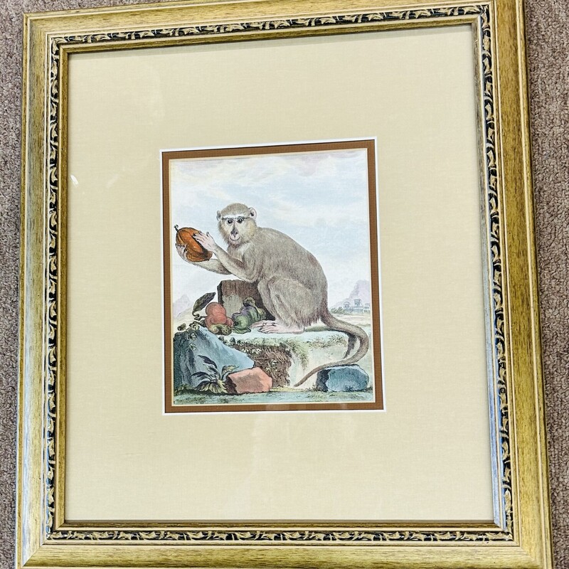 Monkey Holding Fruit Gold Frame
Gold Green Brown
Size: 14.5 x 16.5H