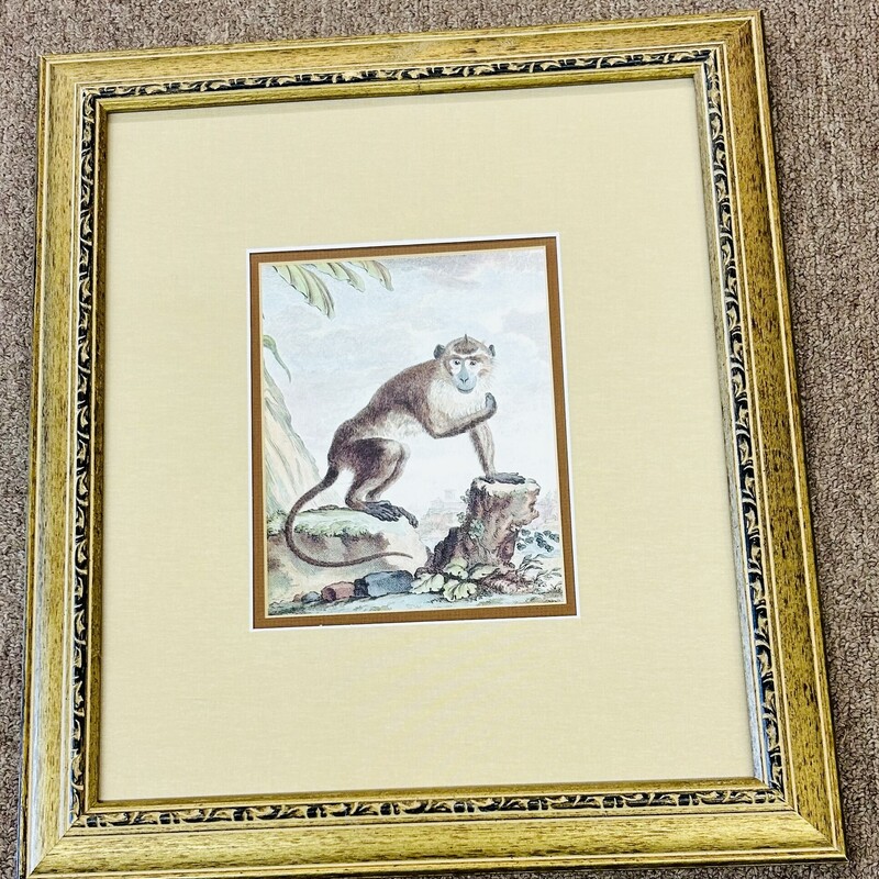 Monkey on a Log Gold Frame
Gold Brown Red Gray
Size: 14.5 x 16.5H
