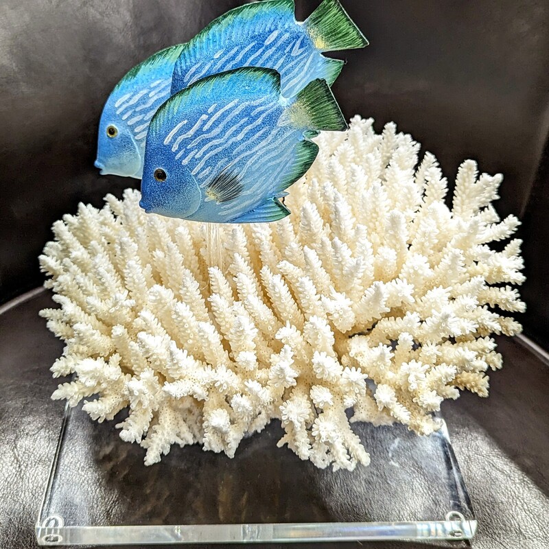 Coral On Stand With Fish