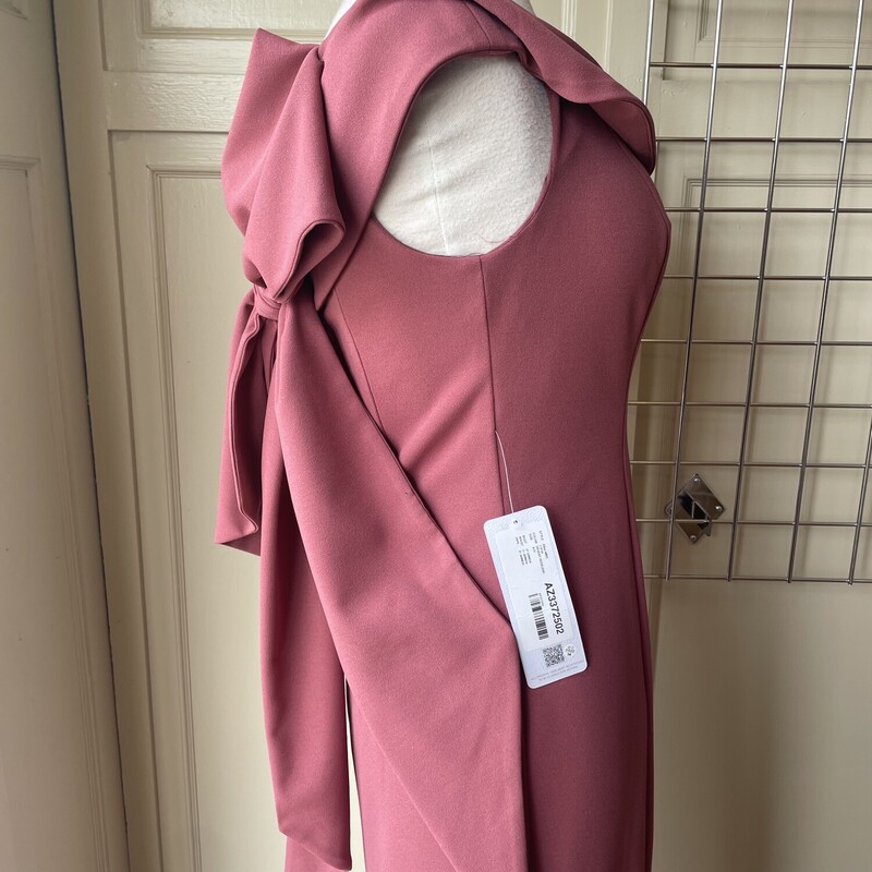 NWT Azazie Long Dress, Desert Rose, Size: 10<br />
All Sales Are Final<br />
No Returns<br />
<br />
Pick Up In Store<br />
Or<br />
Have It Shipped<br />
Thank You FOr SHopping With Us :-)