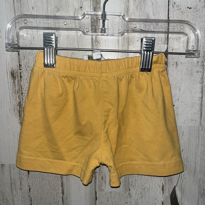12M Mustard Shorts, Yellow, Size: Boy 12-24m
