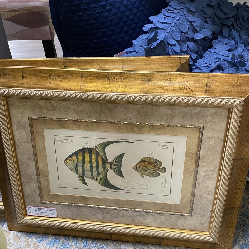 Fish Print
