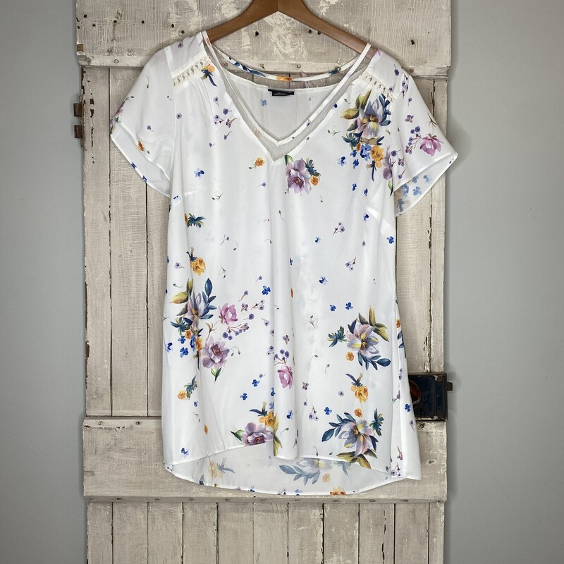 Top City Chic, Floral, Size: 12