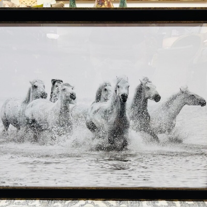 Horses Running In Water Print
White Gray Black Size: 35.5 x 27.5H