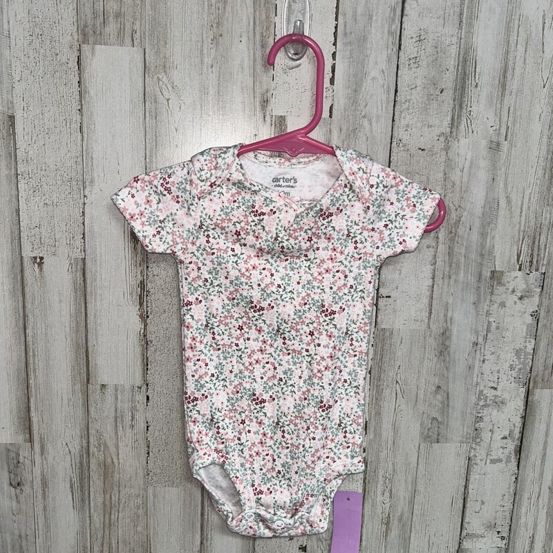 6/9M Green/Pink Floral On, Green, Size: Girl 6-12m