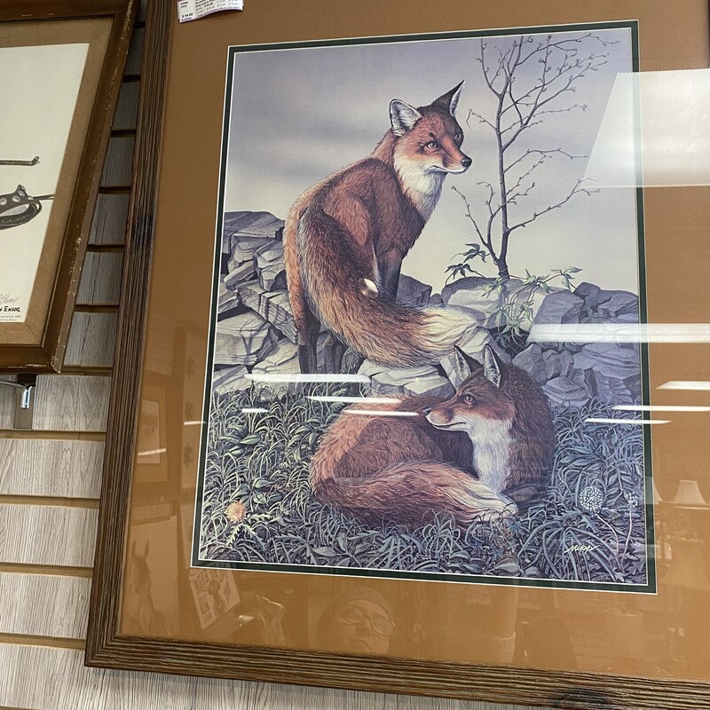 Cole Leach Foxes