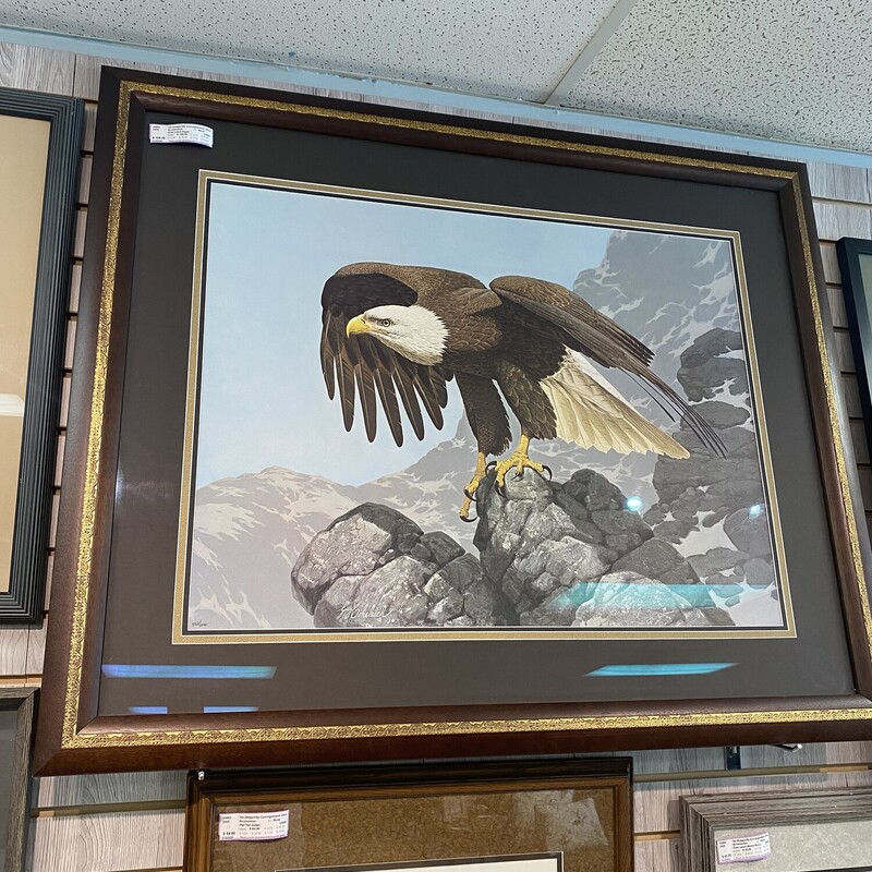 Cole Leach Eagle