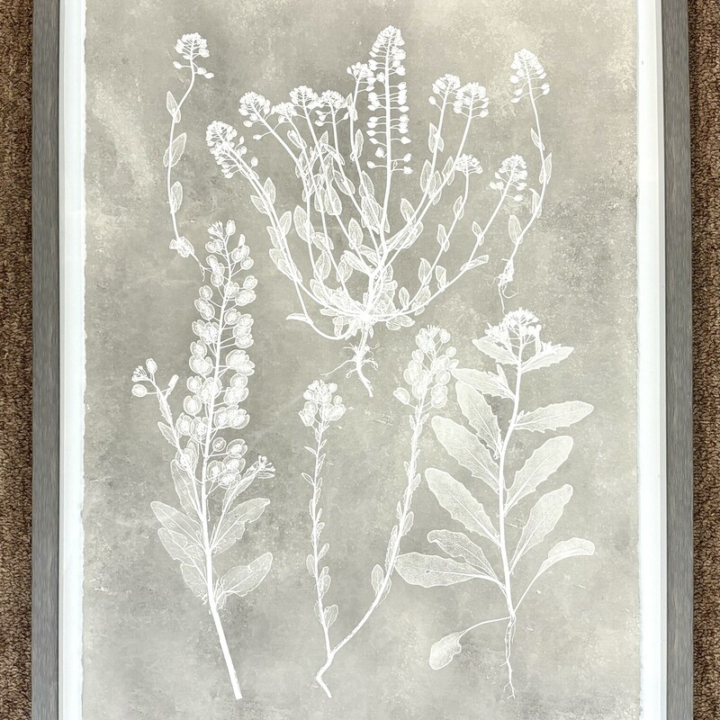 Herbarium Botanical Print
Grey White
Size: 15x20H