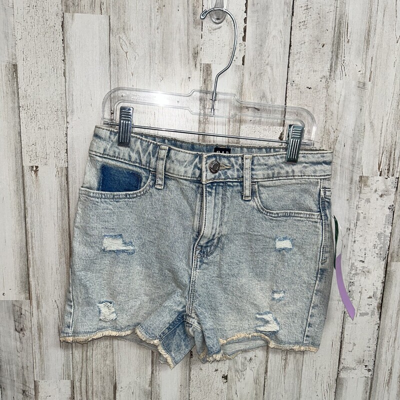 12 NEW Distressed Shorts