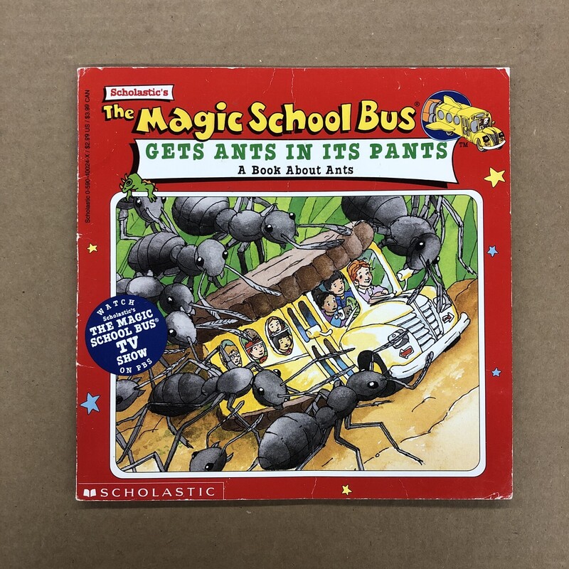 Magic School Bus, Size: Back, Item: Paper
