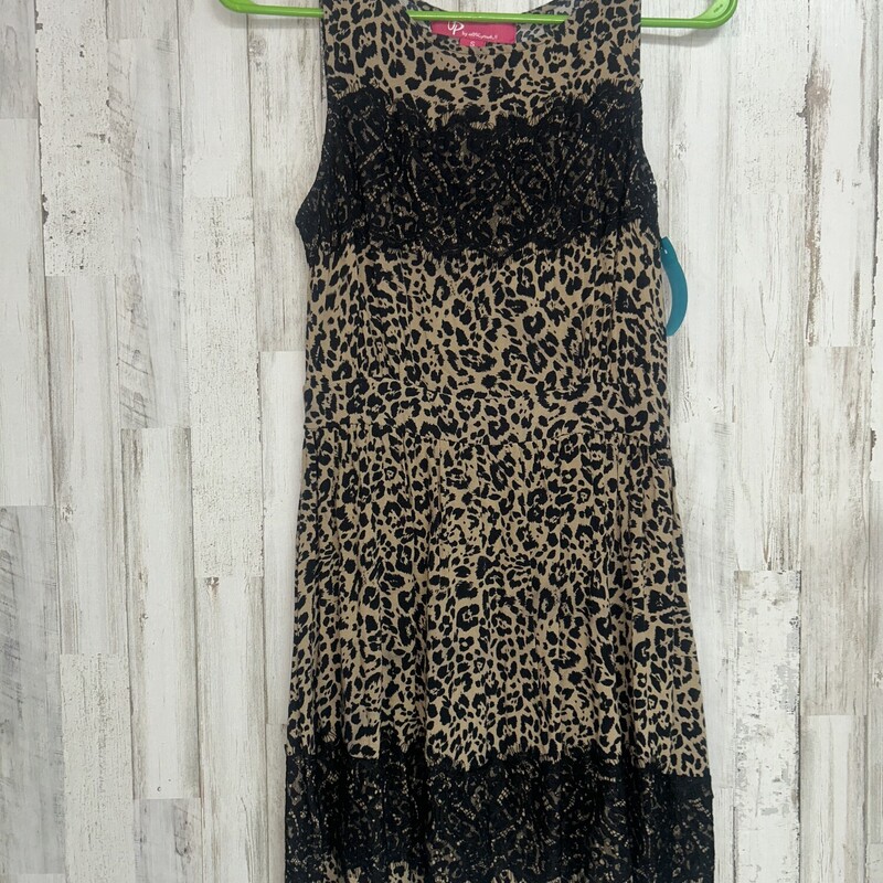 S Cheetah Lace Dress