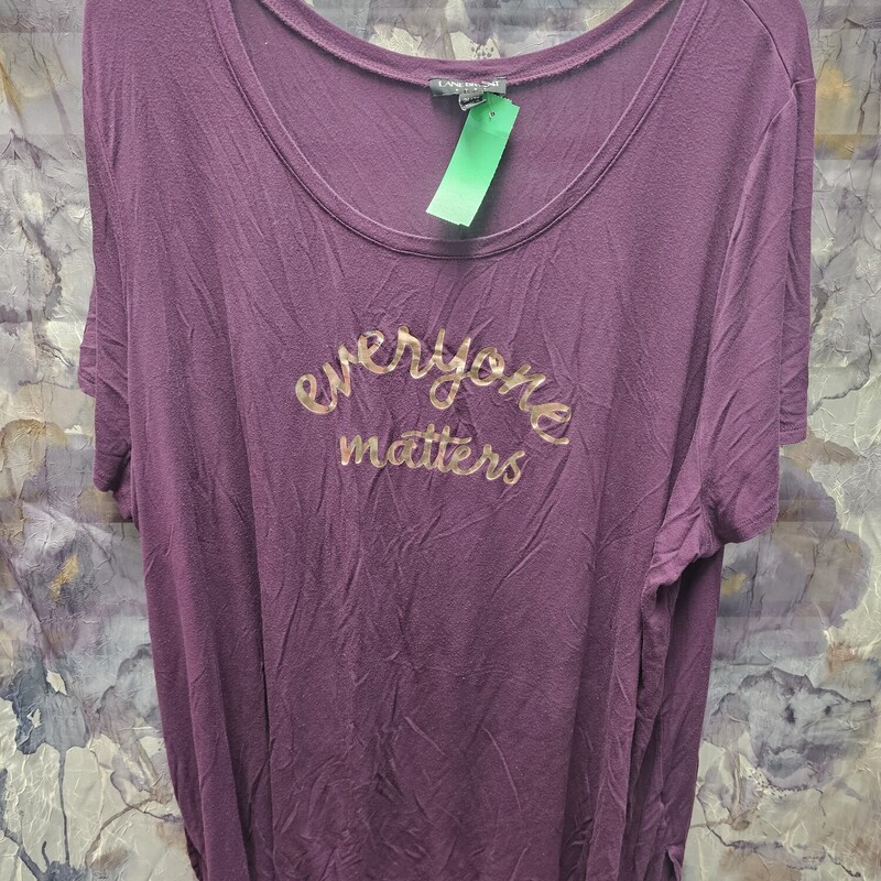 Short sleeve tee in a plum burgandy with rose gold graphic of Everyone Matters