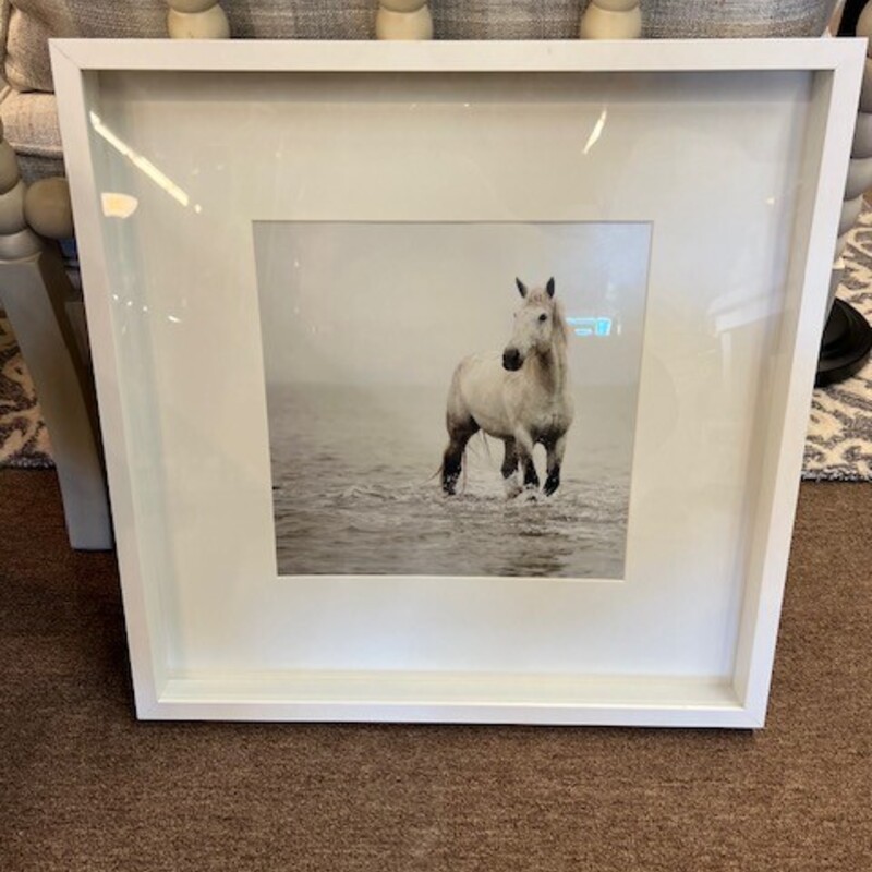Horse In Water Print
White Gray Size: 20.5 x 20.5H