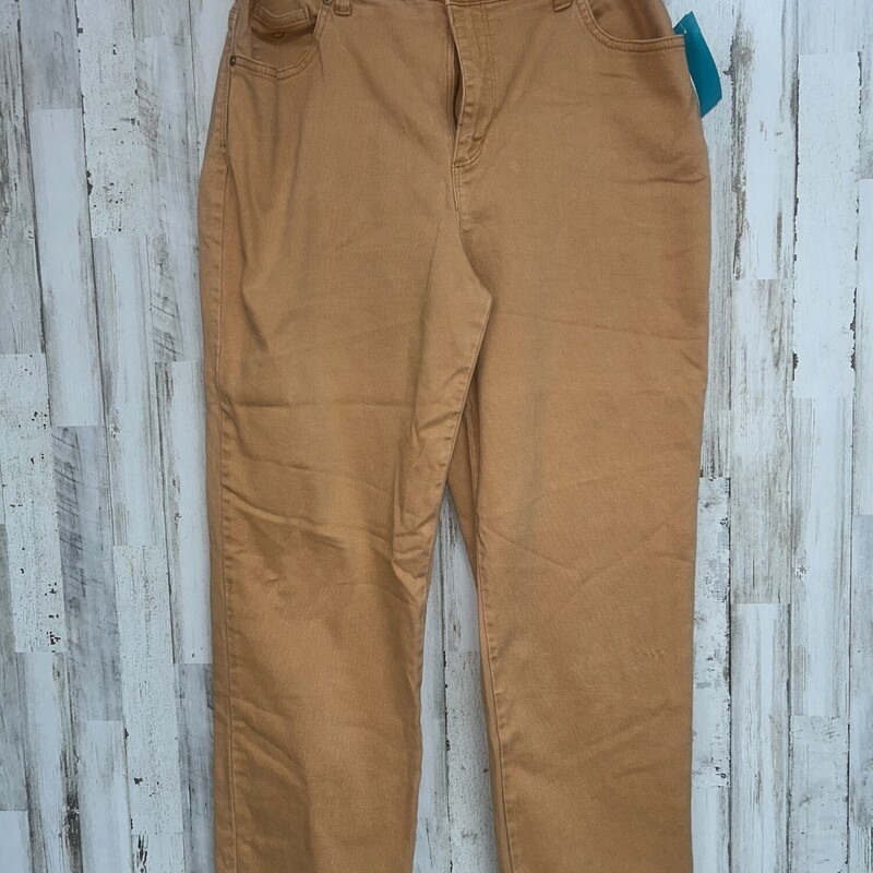 Sz16 Burnt Orange Pants