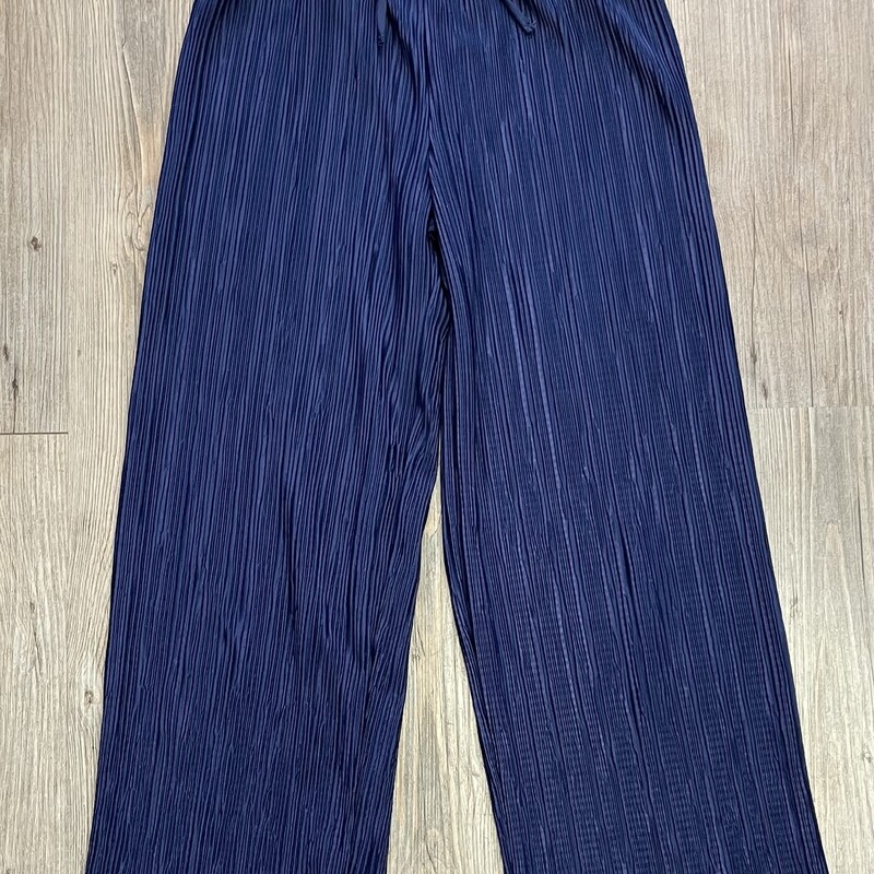 Zara Pleated Pants, Navy, Size: 10Y