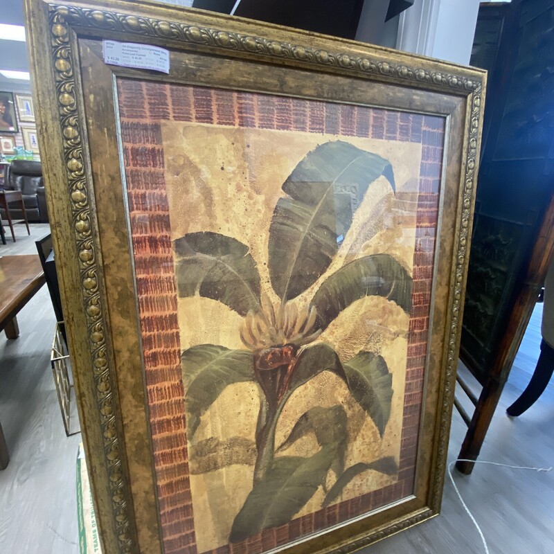 Palm Leaf Framed