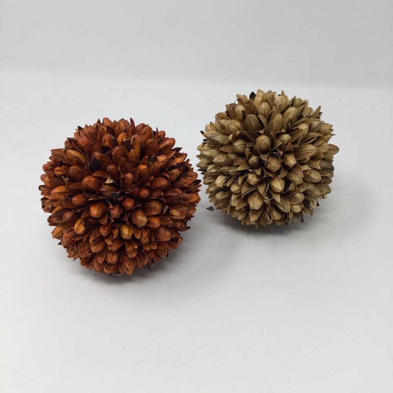 Set Of 2 Prickly Accent B