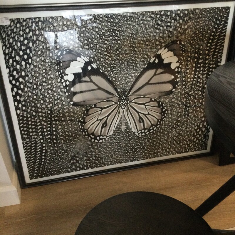 Framed Print Butterfly