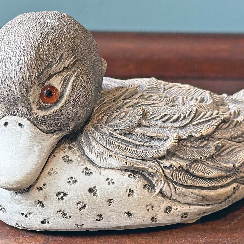 Brown Eyed Duck
6 In x 5 In.