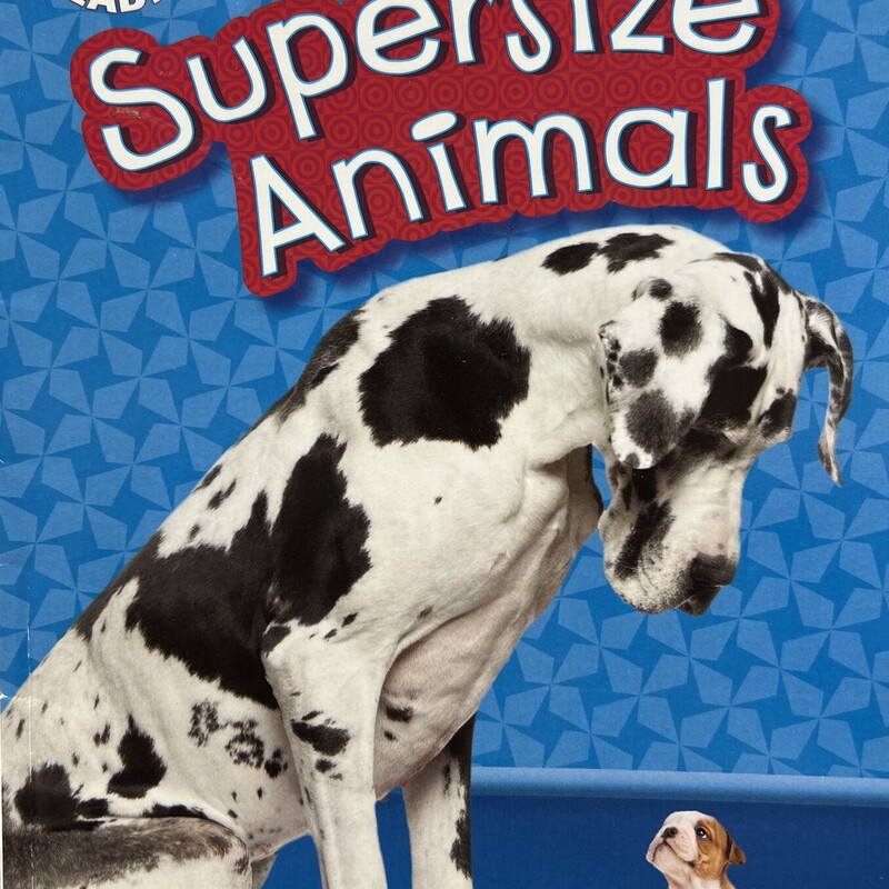 Supersize Animals, Multi, Size: Paperback