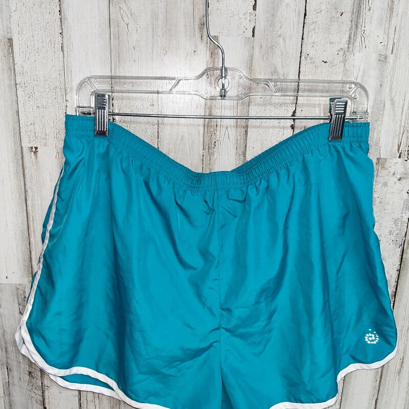 L Teal Athletic Shorts