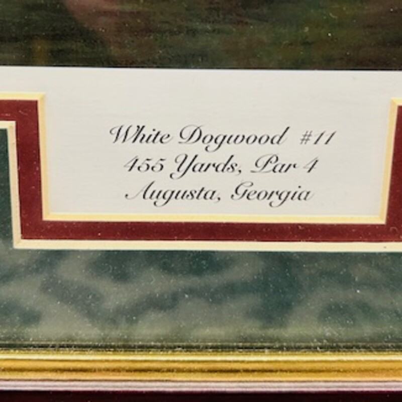 White Dogwood #11 Augusta Georgia Golf Print
Green Red Brown Size: 33.5 x 25H