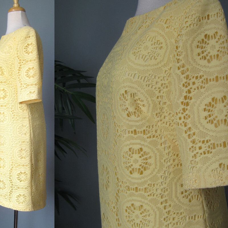 NWT A. Papell Lace SS, Yellow, Size: 10<br />
This lace dress is super easy to wear and enjoy yourself in but isn't boring because of the pretty lemon yellow color.<br />
Fully lined<br />
Short Sleeve<br />
exposed zipper in the center back.<br />
by Adrianna Papell<br />
size 10<br />
Flat measurements:<br />
shoulder to shoulder: 15.5<br />
amrpit to armpit: 18.25<br />
waist area: 17<br />
hip: 21.75<br />
length: 36.5<br />
perfect condition!<br />
never worn,.<br />
thanks for looking!<br />
#69837