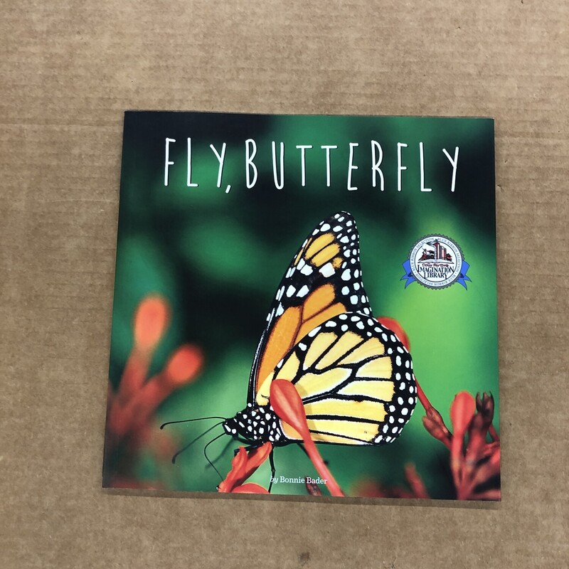 Fly Butterfly, Size: Back, Item: Paper