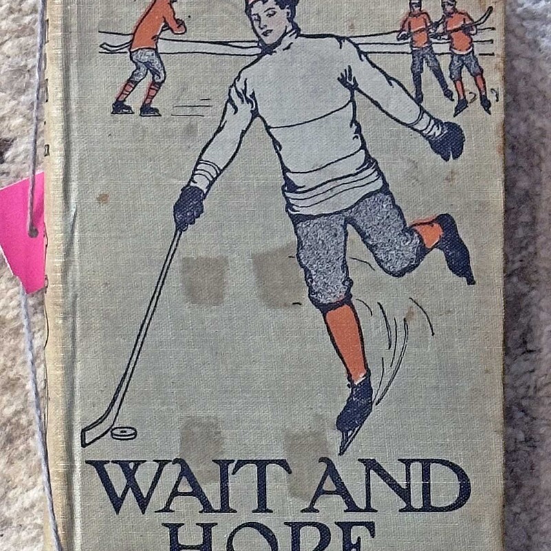 Wait and Hope or A Plucky Boy's Luck by
Horatio Alger, Jr. (1910)