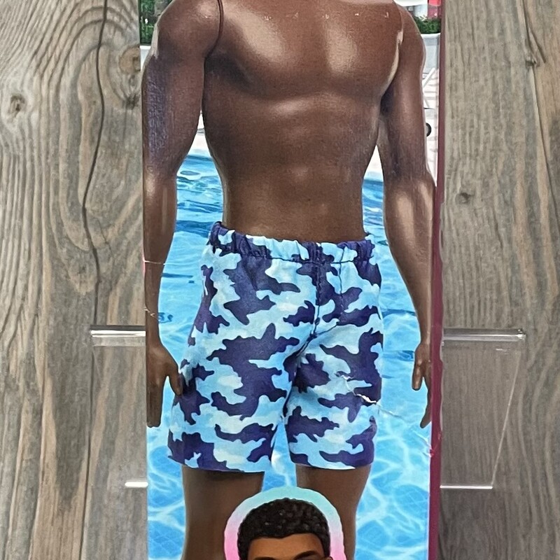 Beach Ken Doll Dark Hair, Blue, Size: 3Y+
In A Box