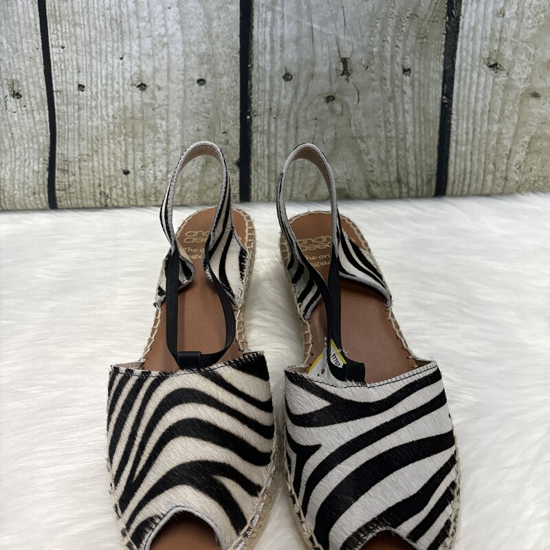 Andre Assoue, Zebra, Size: 10