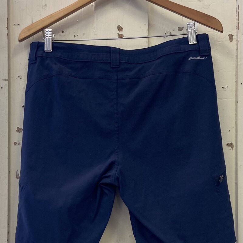 Blue Ascent Shorts<br />
Blue<br />
Size: 8 - Tall