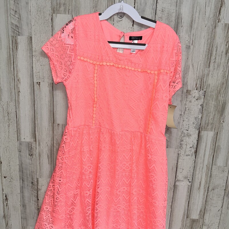 12 Neon Pink Lace Dress
