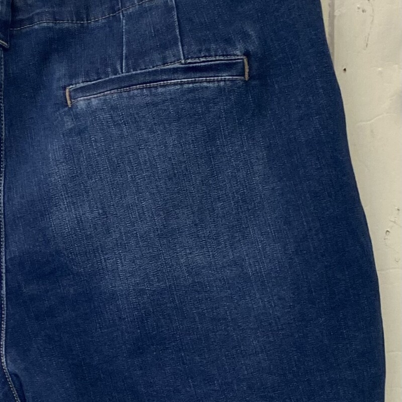 NWT Denim Shorts<br />
Blue<br />
Size: 20