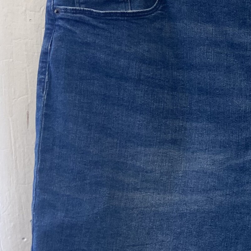 Den Elasti Waist Shorts<br />
Blue<br />
Size: 2X